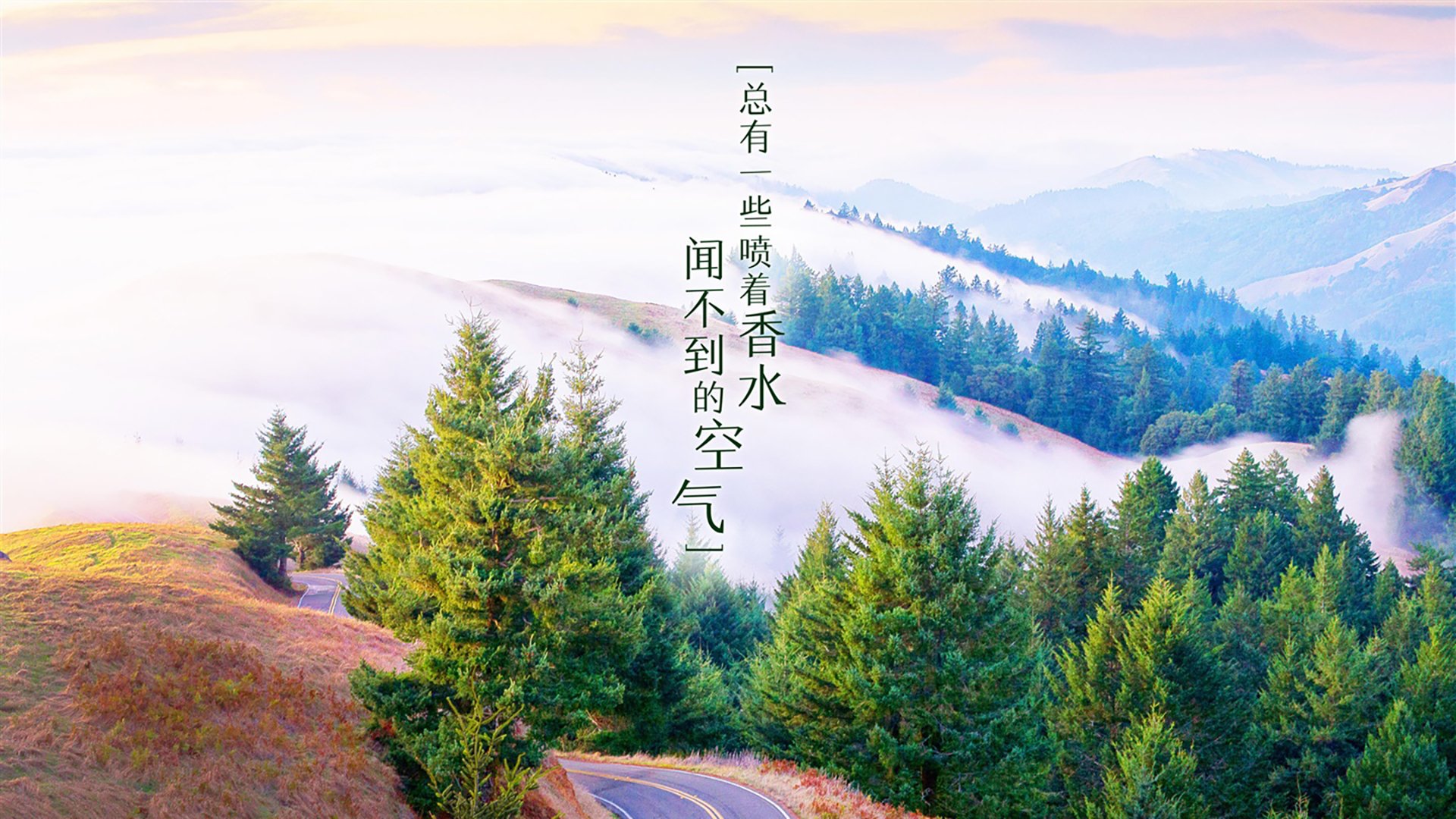 米兰体育(中国大陆)官网-KPL选手赛后数据分析发布，2021kpl选手数据