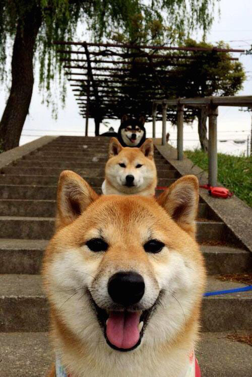 国际足球联合会加强反兴奋剂措施，确保比赛公平，国际反兴奋剂中心